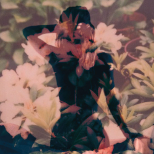 Modern Vices - Taller In The Sunshine