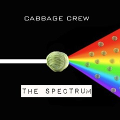 The Spectrum