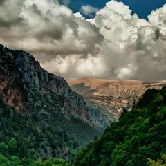 لبيك يا شهيد