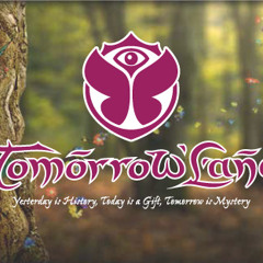 Tomorrowland 2014 Weekend 1 (Exclusive)