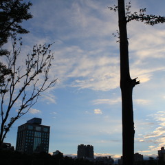 [Cover]勇敢飛象_COLOR BAND(Dedicated to a close friend of mine)