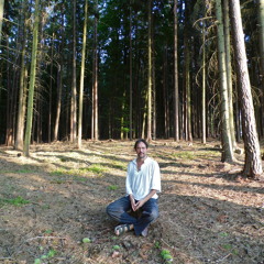 Mujushinkyoku in the Forest