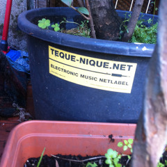 teque-nique summer 2014