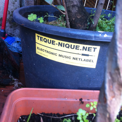 teque-nique summer 2014