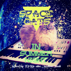 -Space Cats In Summer Night- Mix