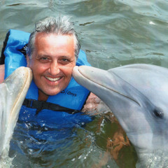Dolphin Blue