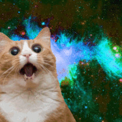 Alt-J - 'Taro' cover (ukulele + voice)