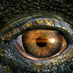 Kach - Age Dinosaur (kusturius Remix) Prv