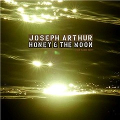 Joseph Arthur - Honey And The Moon (Bastian Vilda Remix)