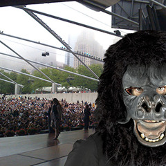 2010 Commencement Speech at the School of the Art Institute of Chicago