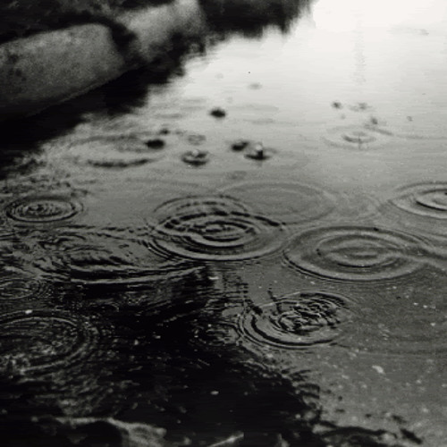 Joseph Parker - Rain