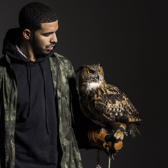 DRAKE/40 - TYPE BEAT