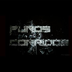 Dj Potosino vs Dj Cato  corridos mix