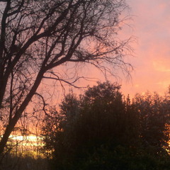 A Firm Kick - John Frusciante Cover