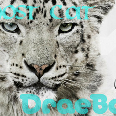 Ghost Cat - DraeBob[Original Mix] |Free Download