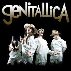 [Cover]Mi Vida No Vale Nada (Genitallica)
