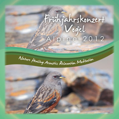 Frühjahrskonzert Vögel Alp 1 Naturgeräusche Tonaufnahmen Audiophile