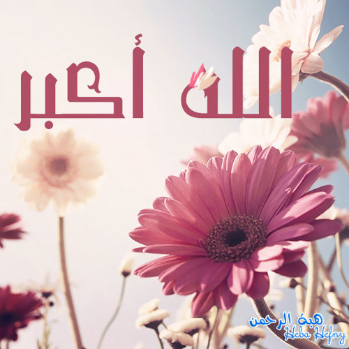 رحماك (بدون إيقاع) - براء العويد  طيور الجنة