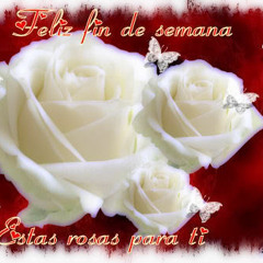 Romantic Piano •ღ•