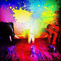 Elephant Meeting 2