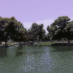 A beat from the past 5