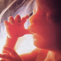 Reaking One - Vida Sin Ciclos Ft. Akier & Baxel