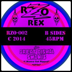 Great Dismal Swamis  /  I Wanna Get Ripped /  Garage Punk RNR Vinyl