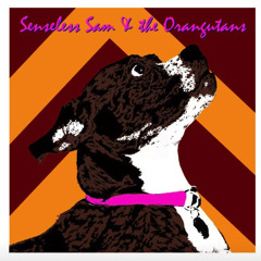 Something in the Water