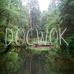 Missy Elliott - Gossip Folks (DOGWOK Remix)