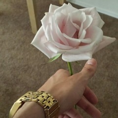 "We're blessed" recorded off cell phone in the car