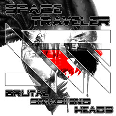 Brutal Smashing Heads - Several Pussy (full preview)