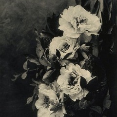 Moon River (Lullaby)