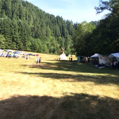 Phat Albert - Indidjinus 2014