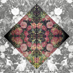 Grouplove - I'm With You (STRFKR Remix)