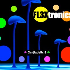 ॐ Ganjiadelic 8 ®  Circle of Mushroom Spirit ॐ Color Design Mix II ॐ ॐ
