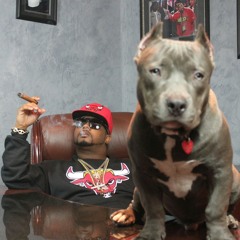 Nino Brown "CAN'T STOP MY GRIND"