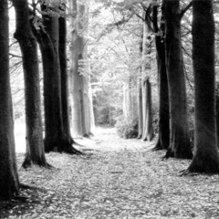ComPlex - Lieben verlernt