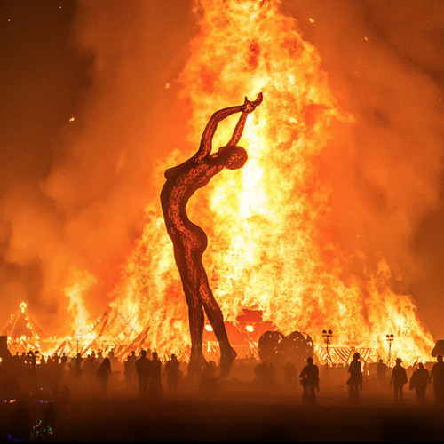 Burning Man 2014 - Deep Tunes For Deep Playa (Vol4)