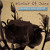 Artwork for 03 - Winter Of June - Black Roses (Live Studio Session) [Cover]