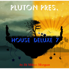 House DeLuxe 7