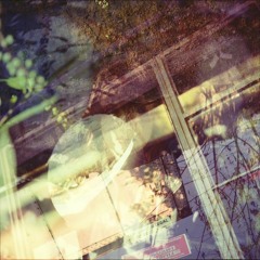 I Will Never Fall In Love With You ft. Chase Lawrence