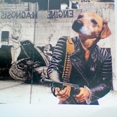 Life is A Major Glitch