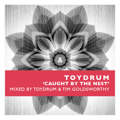 Toydrum vs Tim Goldsworthy - Caught By The Nest