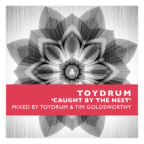 Toydrum vs Tim Goldsworthy - Caught By The Nest