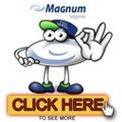 Seguros Magnum de Fullerton Ave.