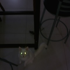 De Bowie Para Major Tom