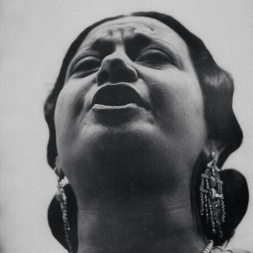 "لا تقل شئنا فإن الحظ شاء"