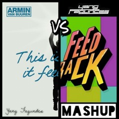 Armin Van Buuren vs Steve Aoki - This Is What It Feels Feedback (Yang Fagundes Mashup)
