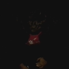 victims ft. duck stomper (prod. cat soup)