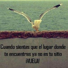 Vuela Por Tu Vida -ErnestoFa,P58-